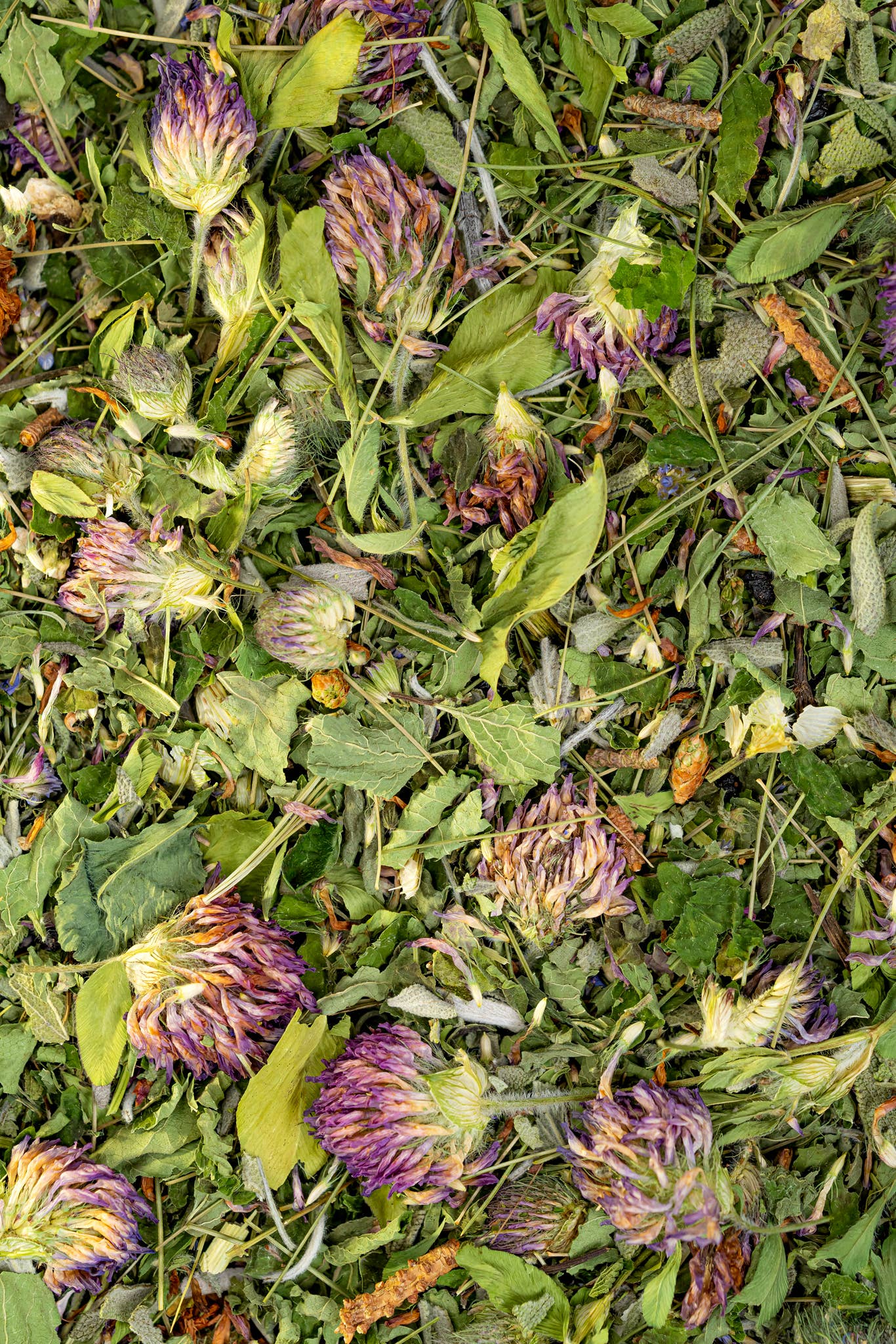 Immunity Herbal Tea