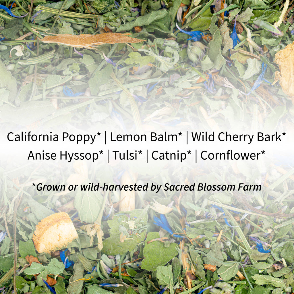 Dream Herbal Tea