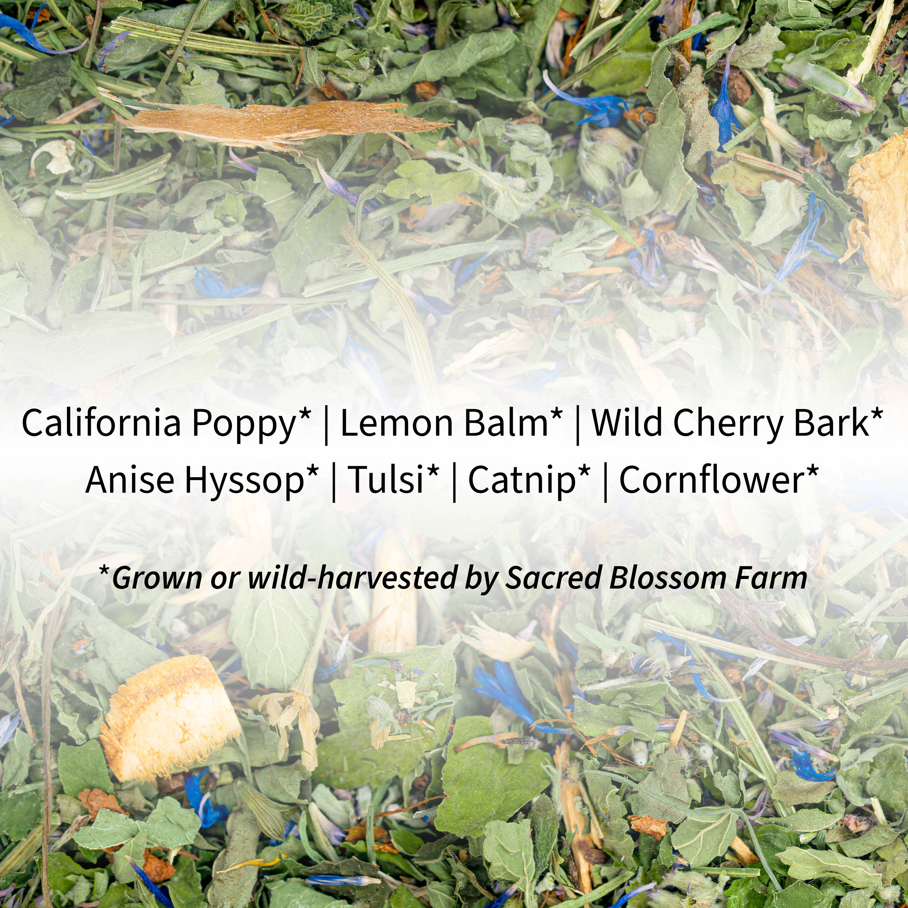 Dream Herbal Tea