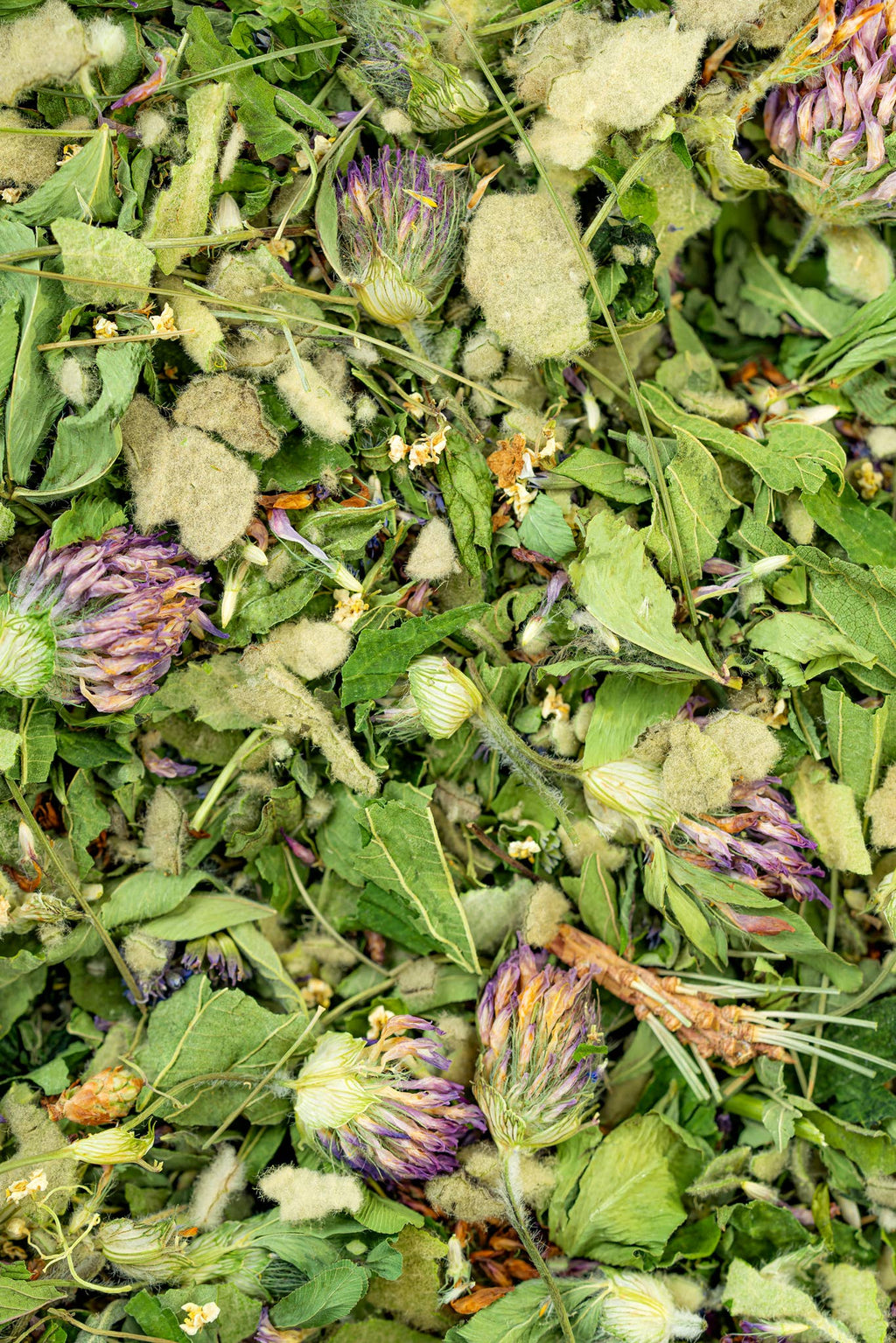 Breathe Herbal Tea
