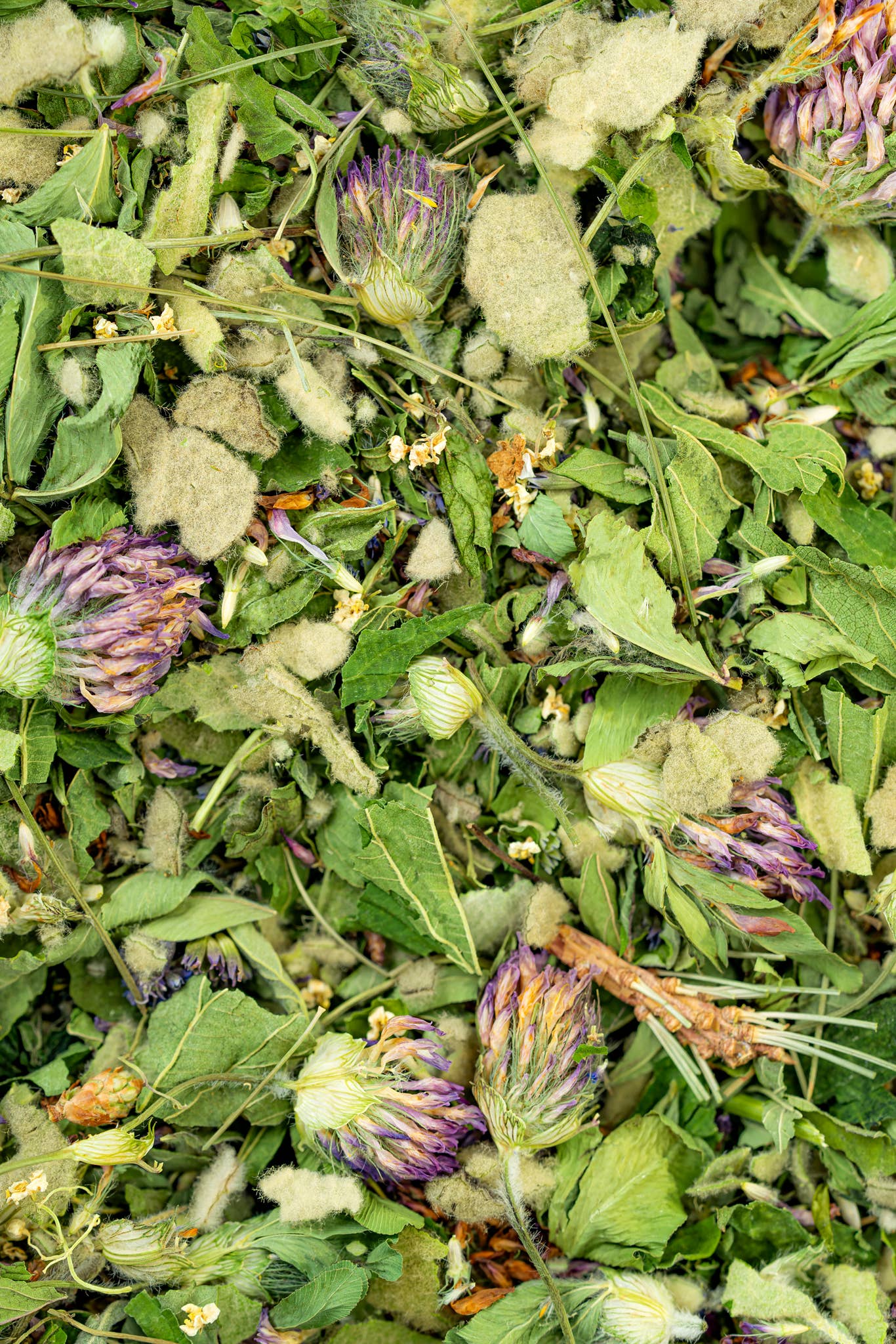 Breathe Herbal Tea
