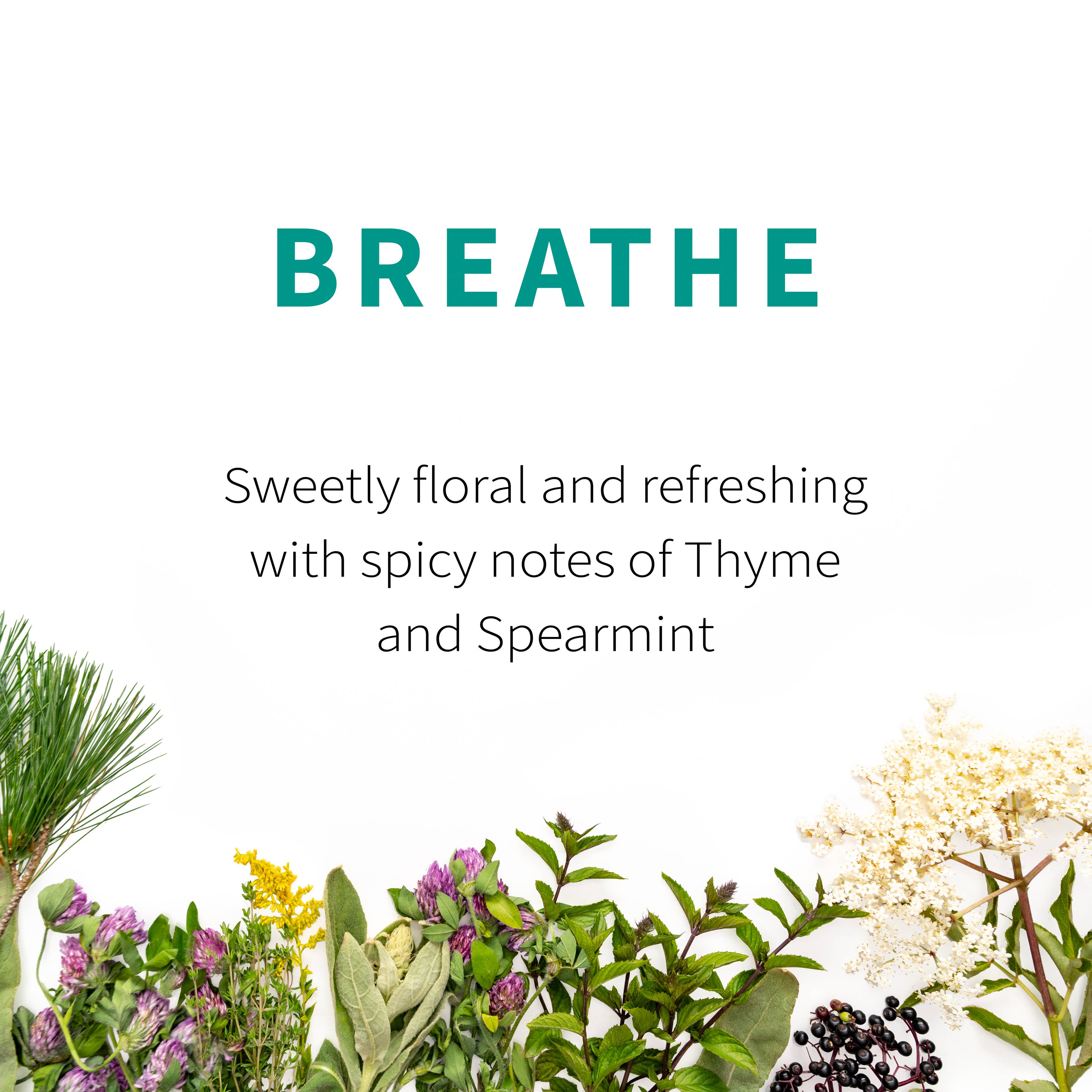 Breathe Herbal Tea