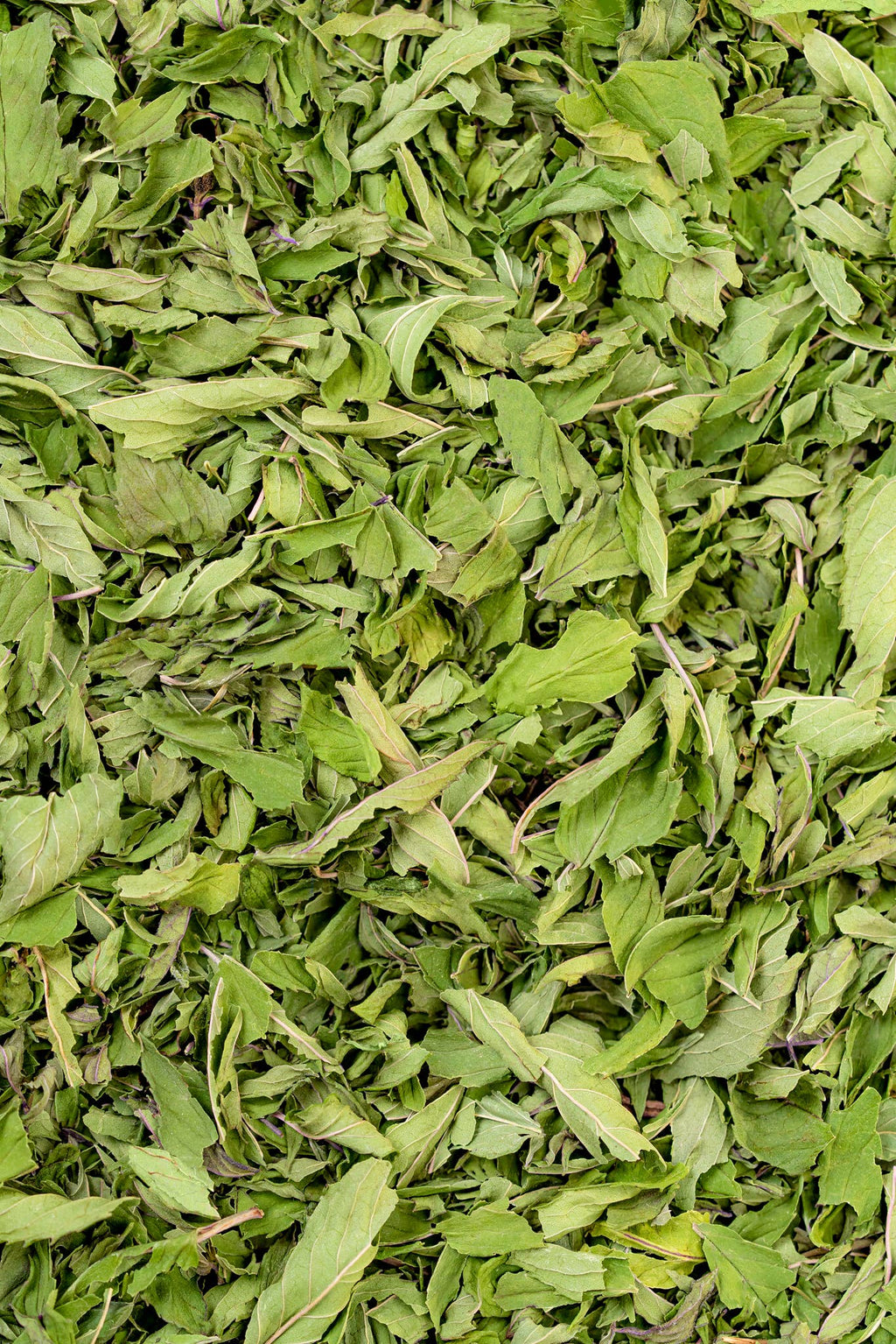 Chocolate Peppermint Herbal Tea