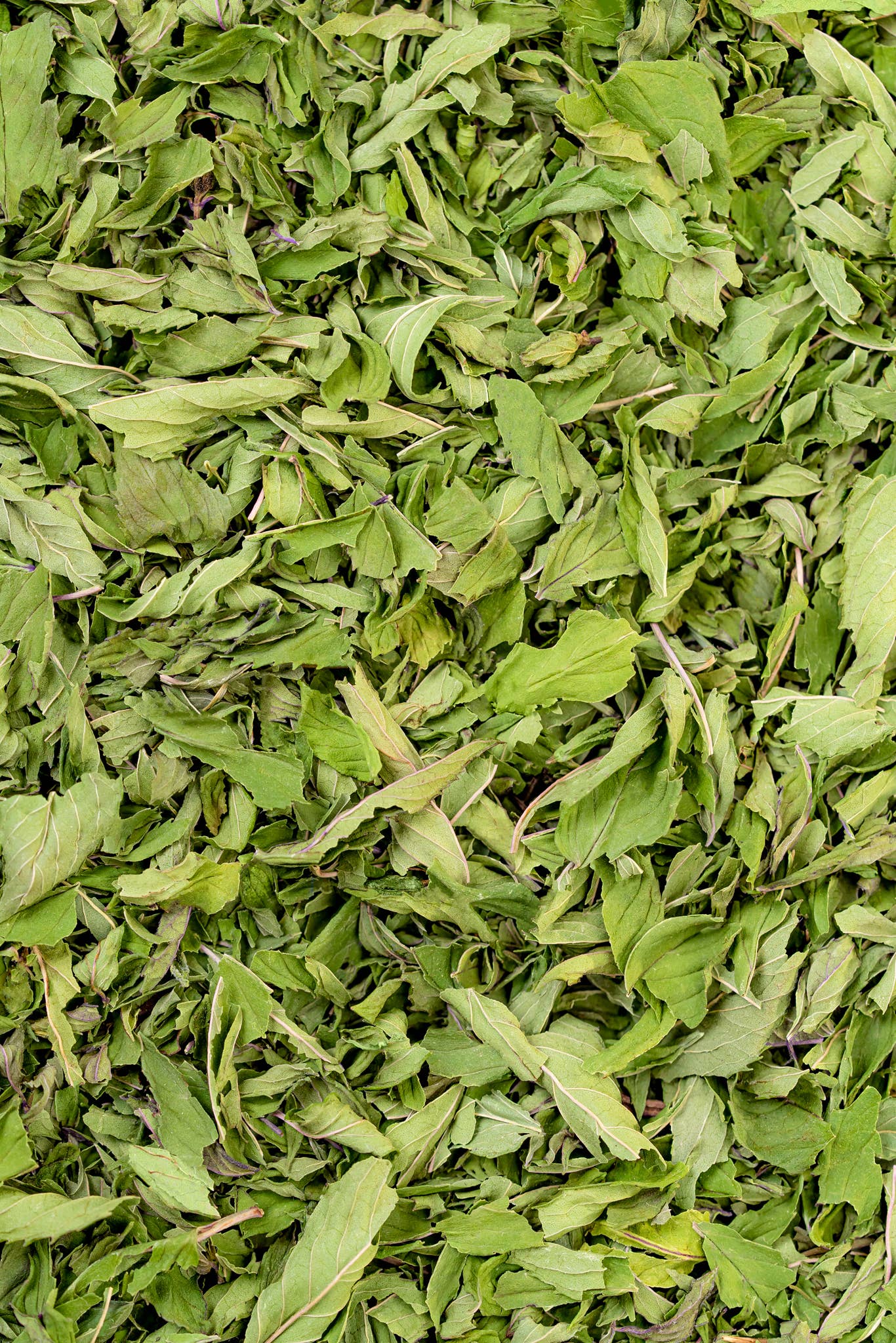 Chocolate Peppermint Herbal Tea