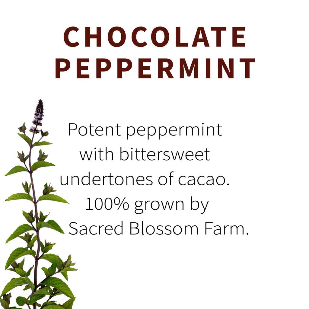 Chocolate Peppermint Herbal Tea